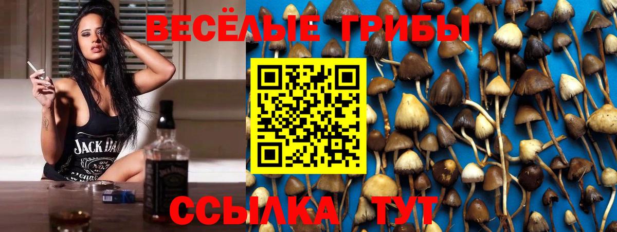 Псилоцибиновые грибы ЛСД  Псилоцибиновые грибы Cubensis  Вход с VPN  Печора 